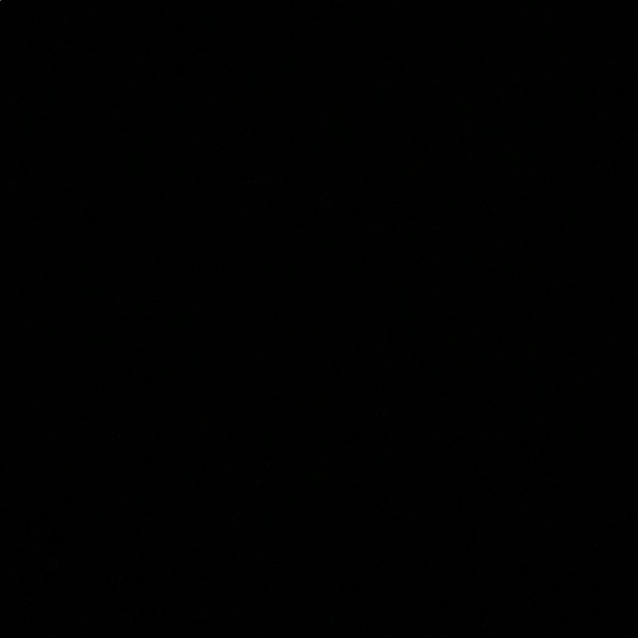 Meet your Posher, Ava - Picture 1 of 1